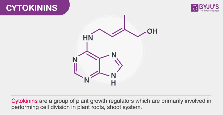 Cytokinins