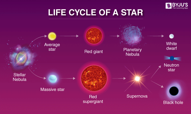 What is the life cycle of a typical star? | RC Space