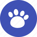 animal, cat, cute, dog, paw, pet, walk