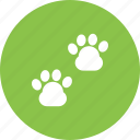 animal, cat, cute, dog, paw, pet, walk