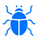 animal, beetle, insect