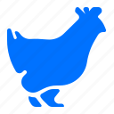 animal, bird, chicken, farm