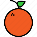 food, fruit, orange