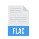 document, file, flac, format