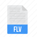 document, file, flv, format