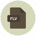 extension, file, flv, type