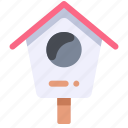 animal, bird, house, pet, spring