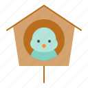 bird, bird house, house, spring