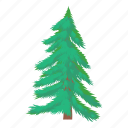 branch, fir, green, nature, plant, tree, wood