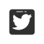 bird, logo, twitter, twitter logo 