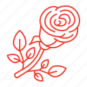 flower, red, rose