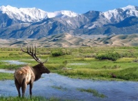 Great Sand Dunes National Park, Colorado, USA