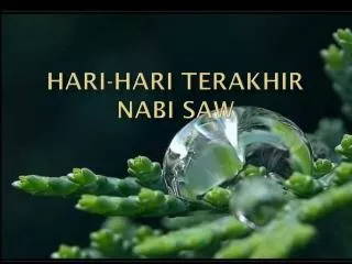 Hari-hari terakhir nabi saw