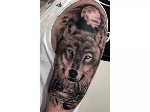 Wolf tattoo HD wallpapers  Pxfuel