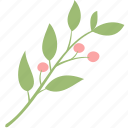 berry, branch, decoration, leaf, leaves, plant