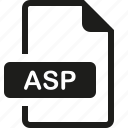 asp, file, format