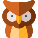 owl