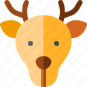 deer