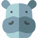 hippo