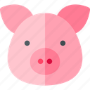 pig