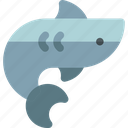 shark