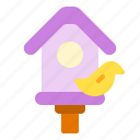 bird, house, nature, spring, wood