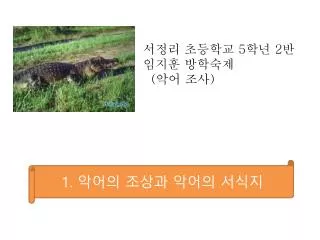 서정리 초등학교 5 학년 2 반 임지훈 방학숙제 ( 악어 조사 )