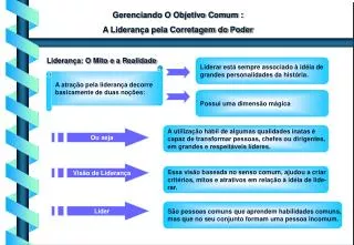 Gerenciando O Objetivo Comum : A Liderança pela Corretagem do Poder