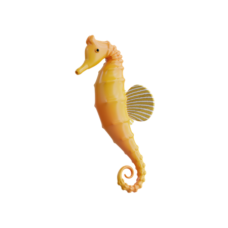 Sea Horse  3D Icon