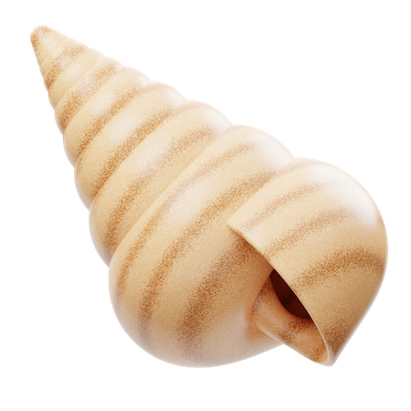 Sea Shell  3D Icon