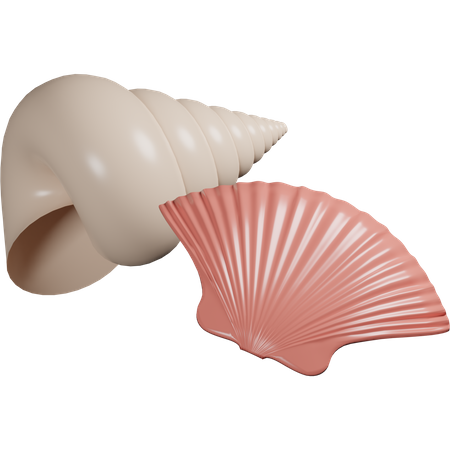 Sea Shell  3D Icon