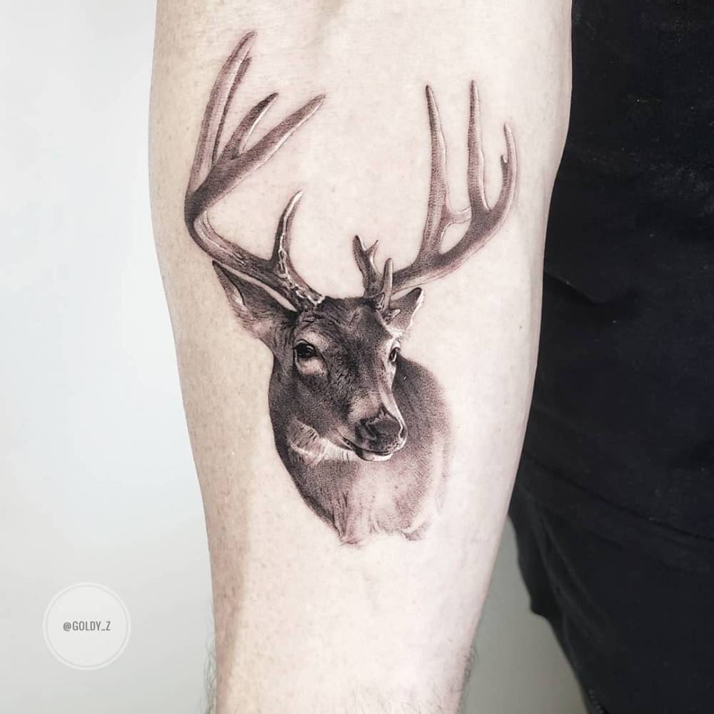 deer tattoos Archives  Deer  Deer Hunting