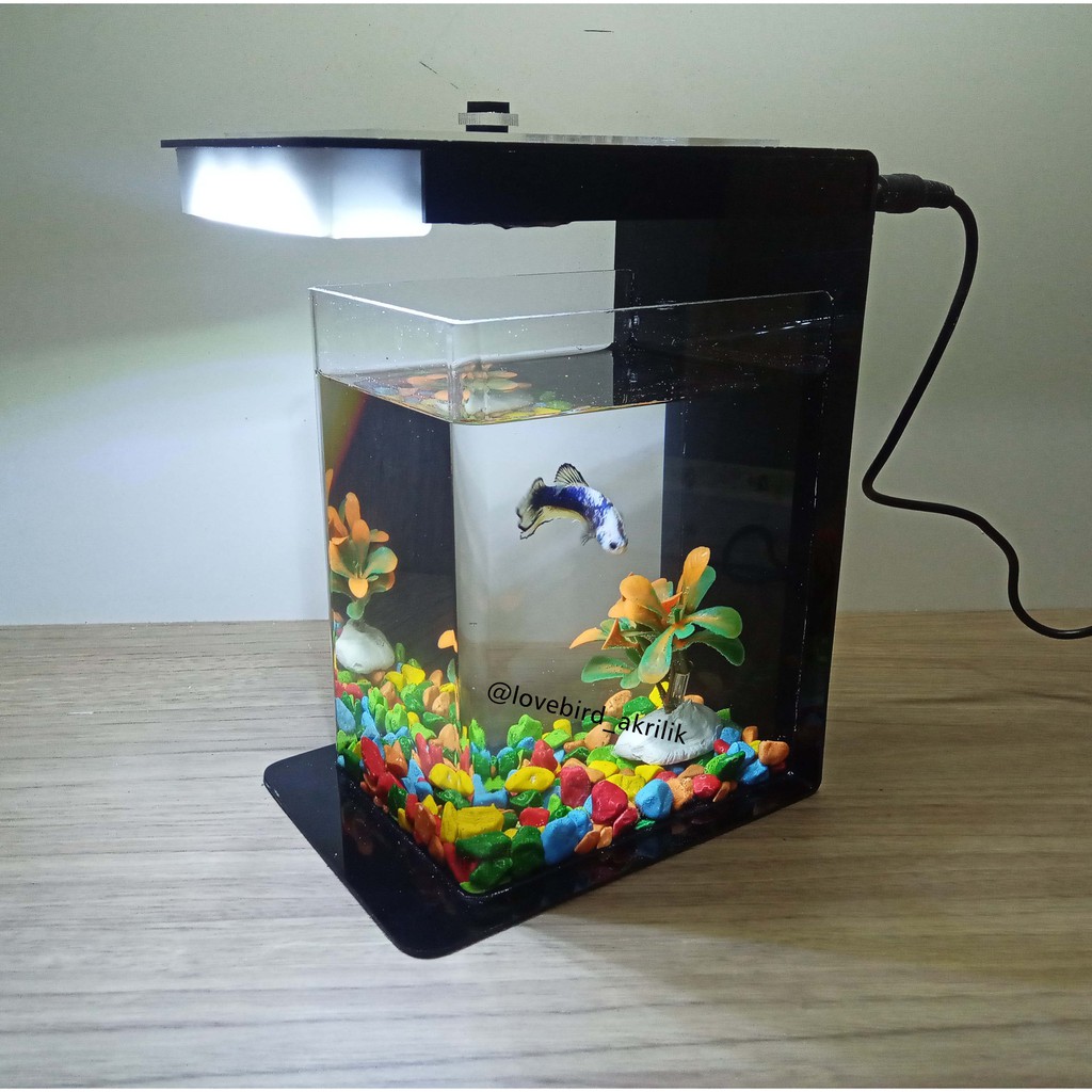 Betta Fish Tank Aquarium Mini Akrilik Mini Aquascape Aquascape Acrylic Mini Aquarium Akrilik Shopee Indonesia