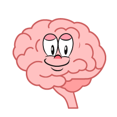 Brain