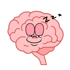 Sleeping Brain