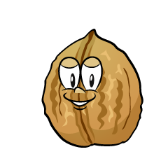Walnut