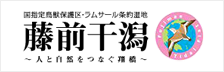 国指定鳥獣保護区・ラムサール条約湿地 藤前干潟 ～人と自然をつなぐ翔橋～(リンク)