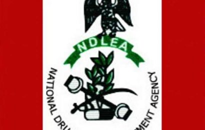 NDLEA Arrests Priest, Intercepts ₦1.1b Codeine