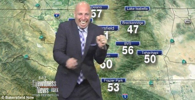 Idiot Weatherman 