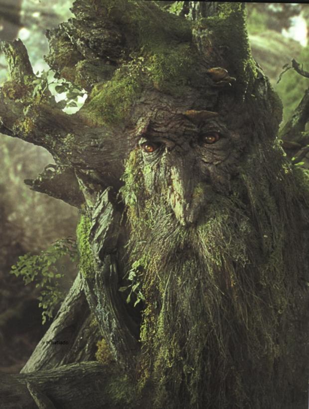 Tree Beard 