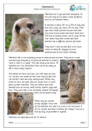 Preview of worksheet Meerkat (2)