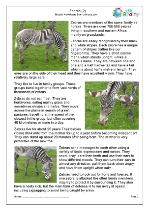 Preview of worksheet Zebra (2)