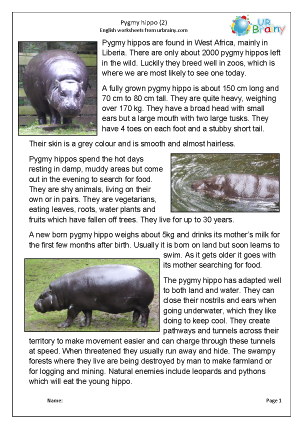 Preview of worksheet Pygmy hippo (2)