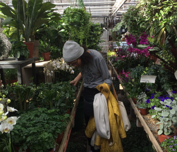 Uma foto de uma mulher em uma estufa comprando plantas.