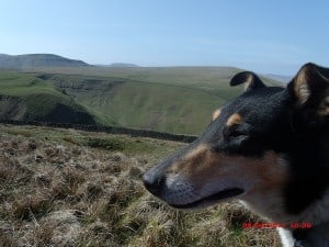 Headshot of Finn using his long nose