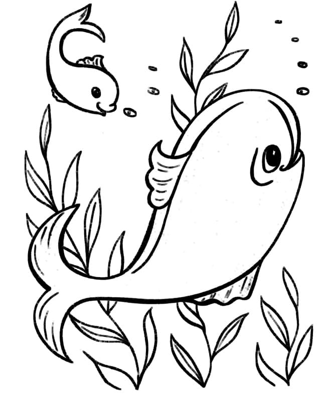 free coloring pages of ocean fish