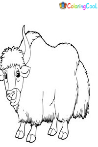 Yak Coloring Pages