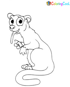 Kinkajou Coloring Pages