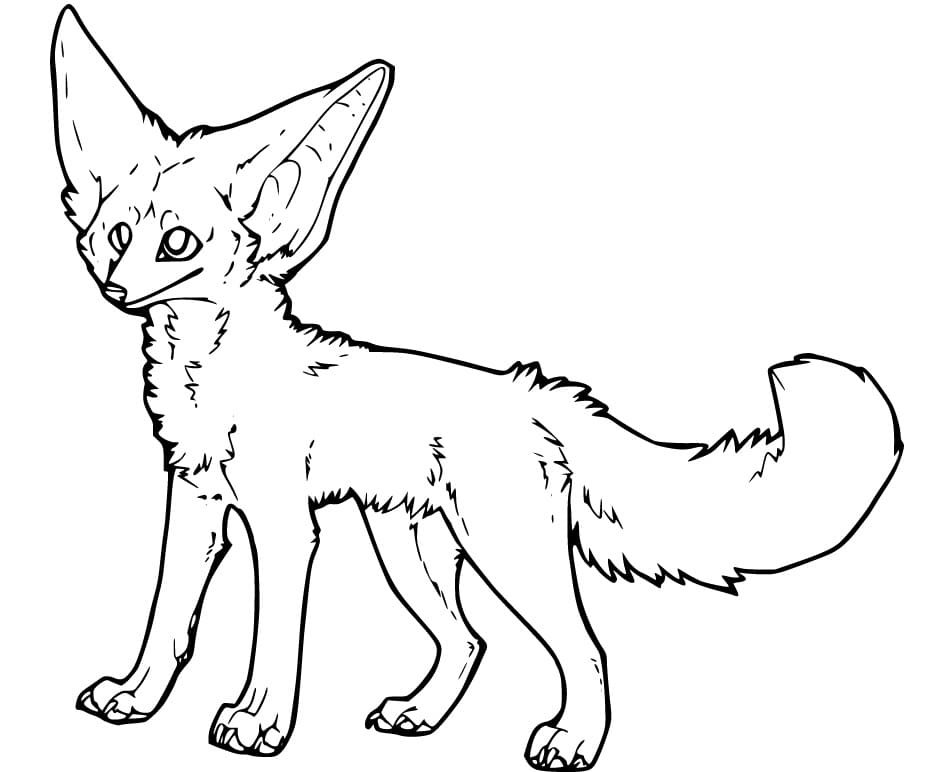 Fennec Fox 3 Coloring Page