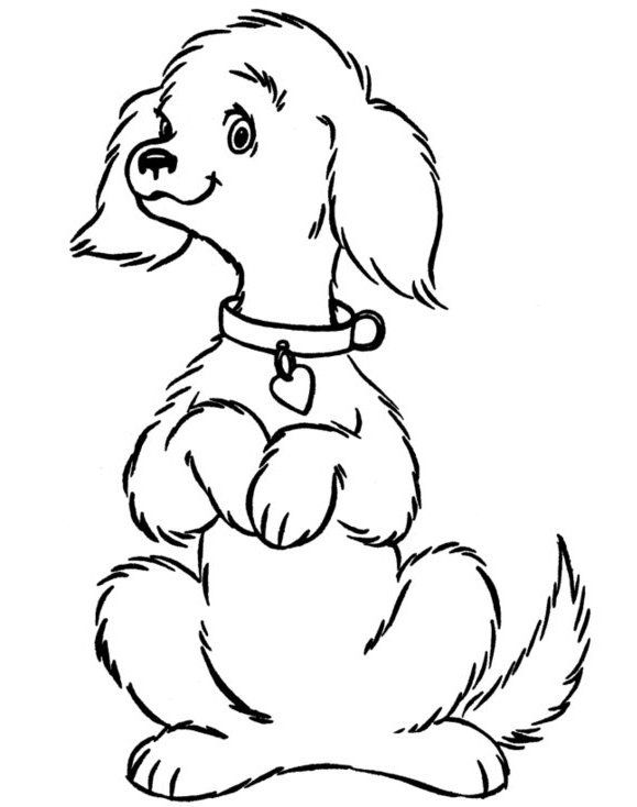 Happy Puppy Coloring - Play Free Coloring Game Online